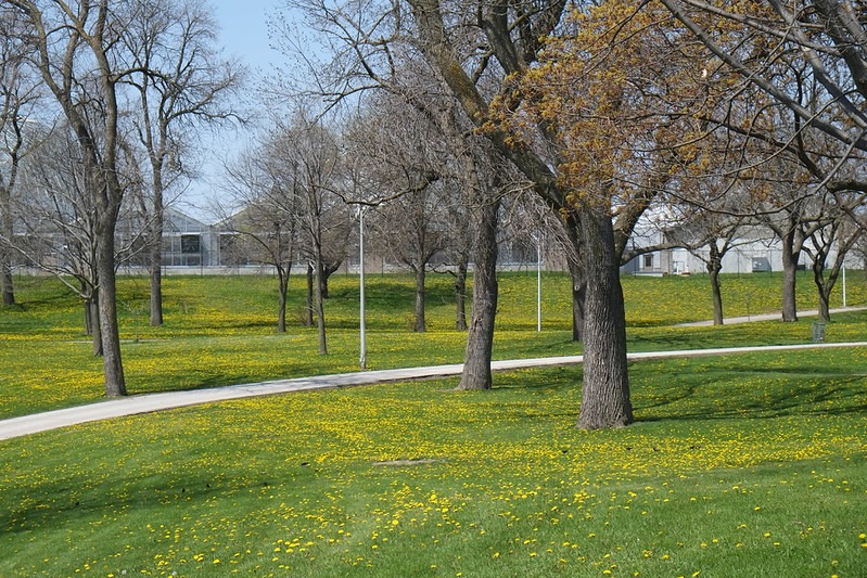 Mitchell Park in Brookfield, Wisconsin